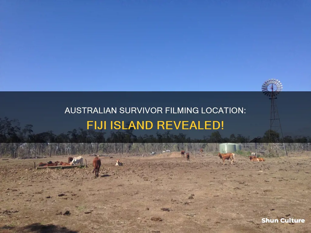 what fiji island is australian survivor filmed