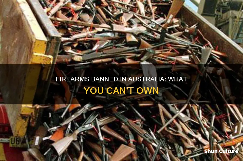 what firearms are illegal in australia