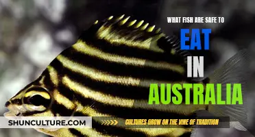 Safe Seafood: Australian Fish to Eat and Avoid