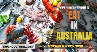 Sustainable Seafood Choices in Australia: Which Fish Are Eco-Friendly?