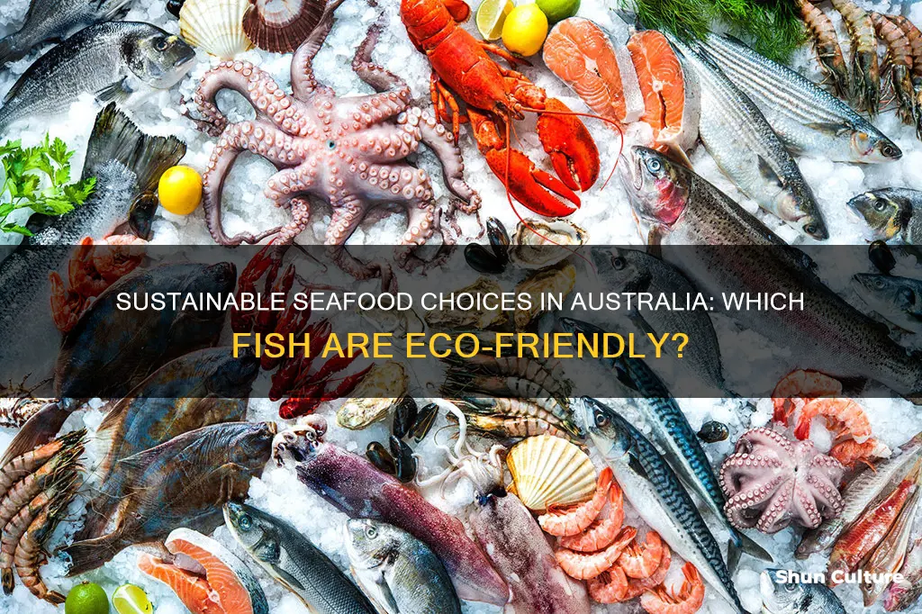 what fish are sustainable to eat in australia