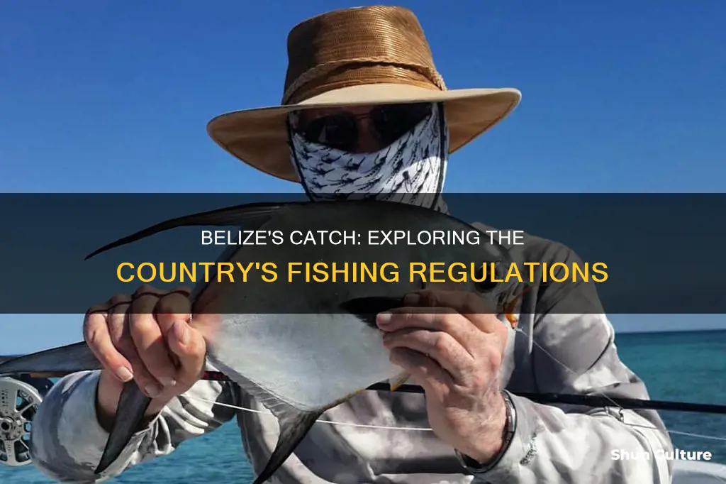 what fish are you allowed to catch in belize