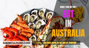 Exploring Australia's Favorite Seafood Delicacies and Local Catches