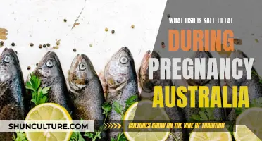 Pregnant and Pescatarian: Which Fish Are Safe to Eat?