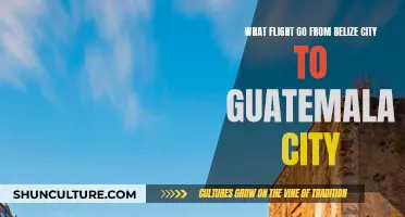 Belize City to Guatemala City: Exploring the Available Flight Options