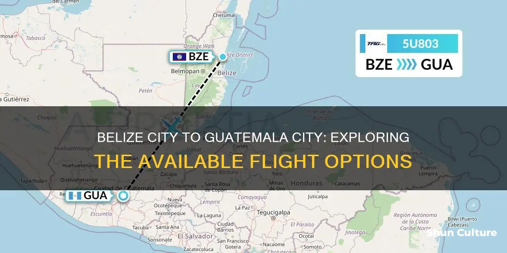 what flight go from belize city to guatemala city