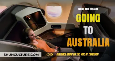 Discover Flights to Australia: Routes, Airlines, and Travel Tips