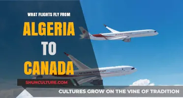 Algeria to Canada Flights: Routes, Airlines, and Travel Options