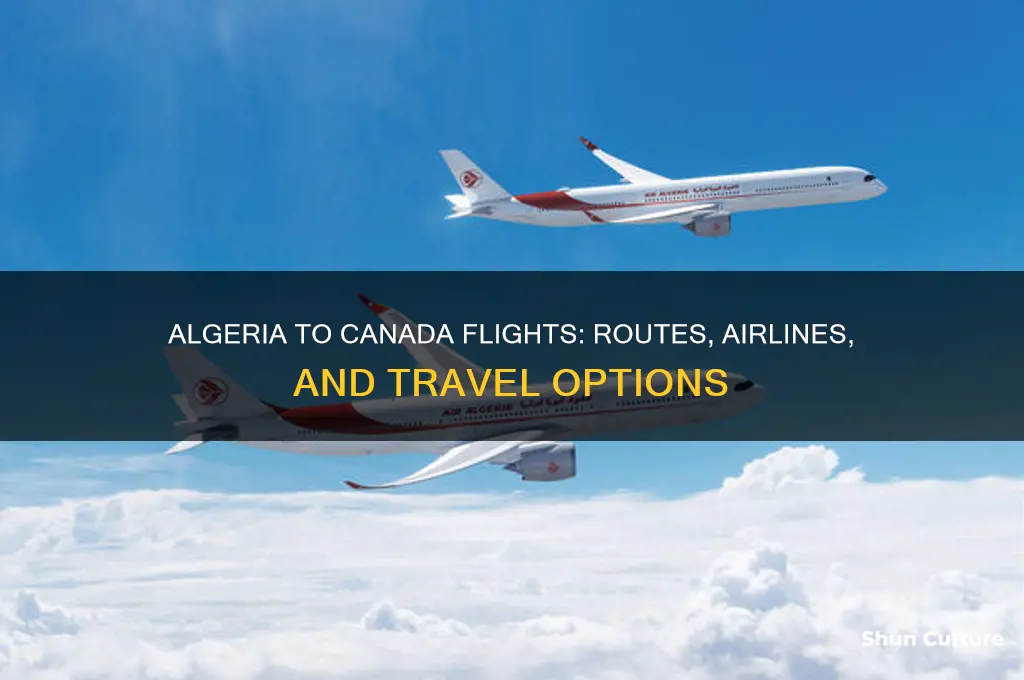 what flights fly from algeria to canada