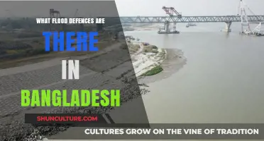 Bangladesh's Flood Defenses: Strategies and Innovations to Combat Rising Waters