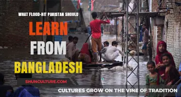 Pakistan's Flood Recovery: Lessons from Bangladesh's Resilience and Adaptation