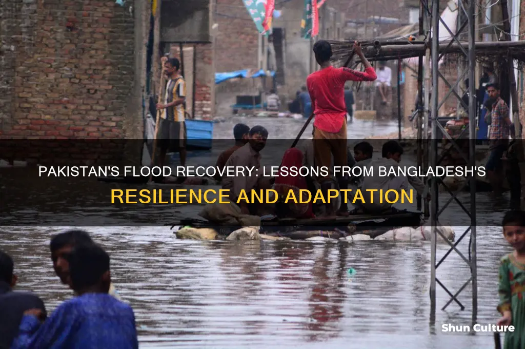 what flood-hit pakistan should learn from bangladesh