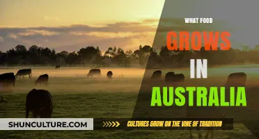 Exploring Australia's Unique Food-Producing Landscape