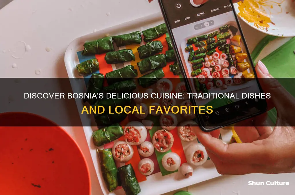 what food in bosnia