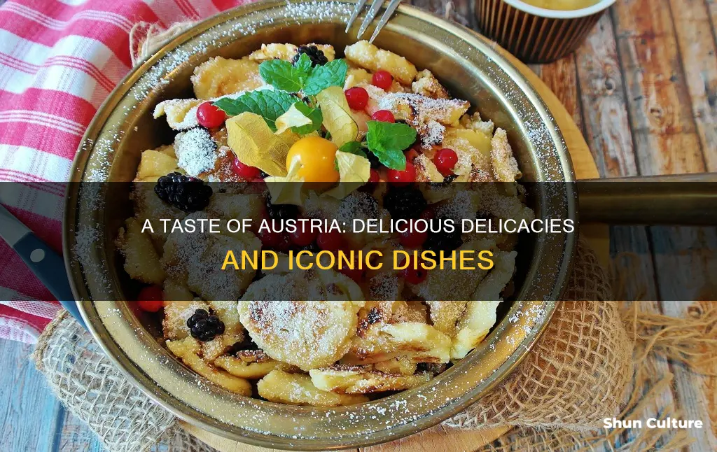 what food is austria famous for