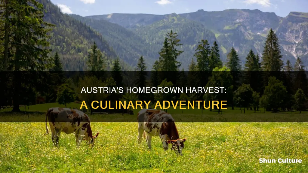 what foods austria grows