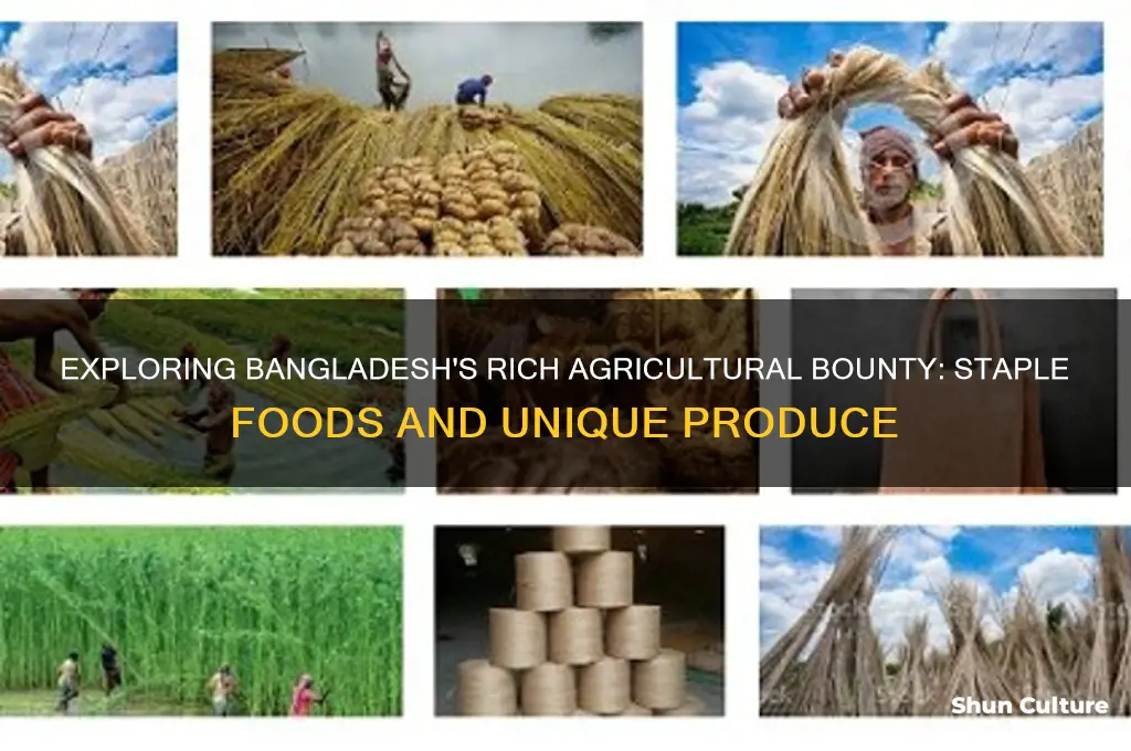 what foods does bangladesh produce