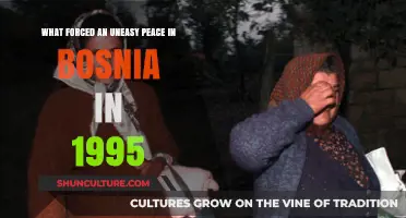 The Dayton Accords: Forcing an Uneasy Peace in Bosnia, 1995