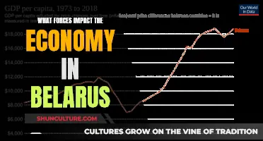 Belarus' Economy: Forces and Factors at Play