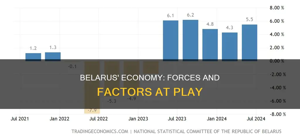 what forces impact the economy in belarus