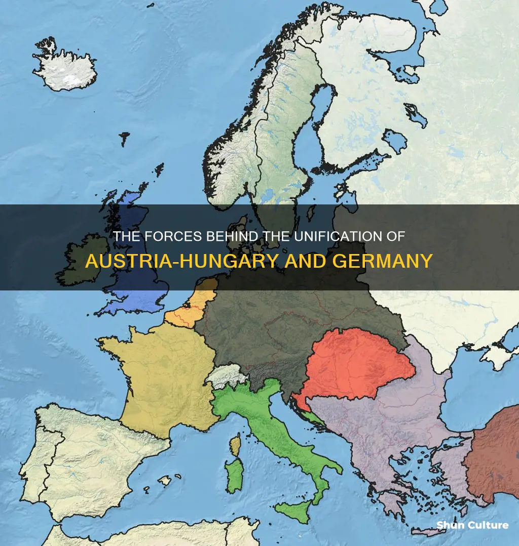 what forces lead to the unification of austria-hungary of germany