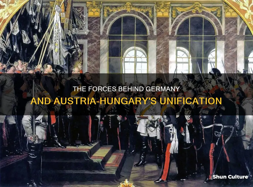 what forces lead to the unification of austria-hungary of germany