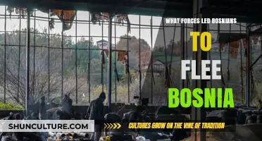 Ethnic Violence, War, and Persecution: Why Bosnians Fled Their Homeland
