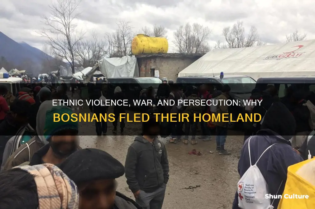 what forces led bosnians to flee bosnia