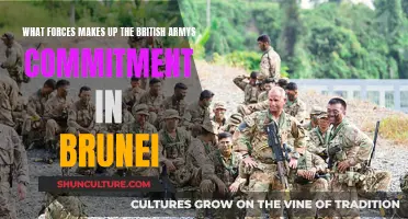 British Army's Forces in Brunei: What's the Commitment?