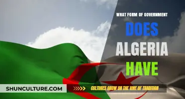 Exploring Algeria's Government: A Republic's Structure and Political System