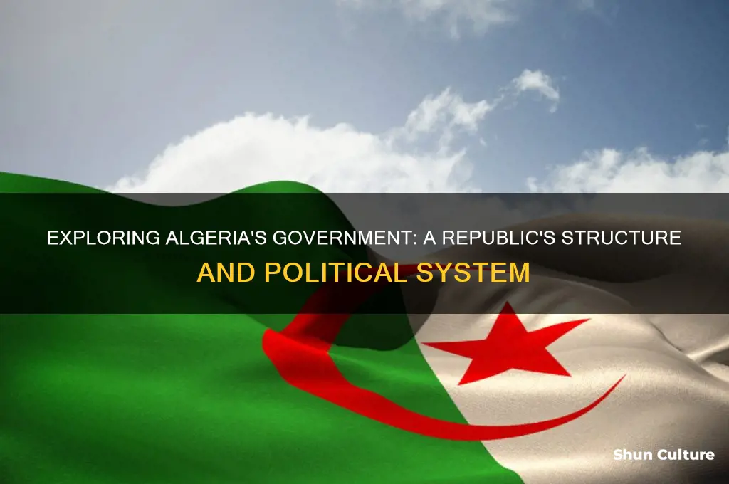 what form of government does algeria have
