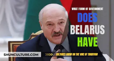 Belarus' Government: A Comprehensive Overview of Their System