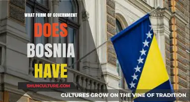 Bosnia's Unique Governance: Understanding Its Complex Political Structure