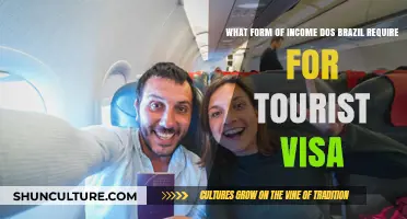Brazil Tourist Visa: Required Income Proof and Application Guidelines