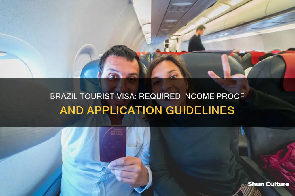 what form of income dos brazil require for tourist visa