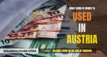 Austria's Currency: Exploring the Euro's Role