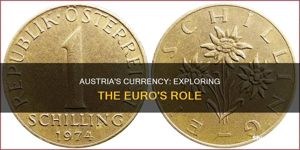 what form of money is used in austria