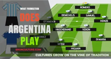 Exploring Argentina's Tactical Approach: A Formation Analysis
