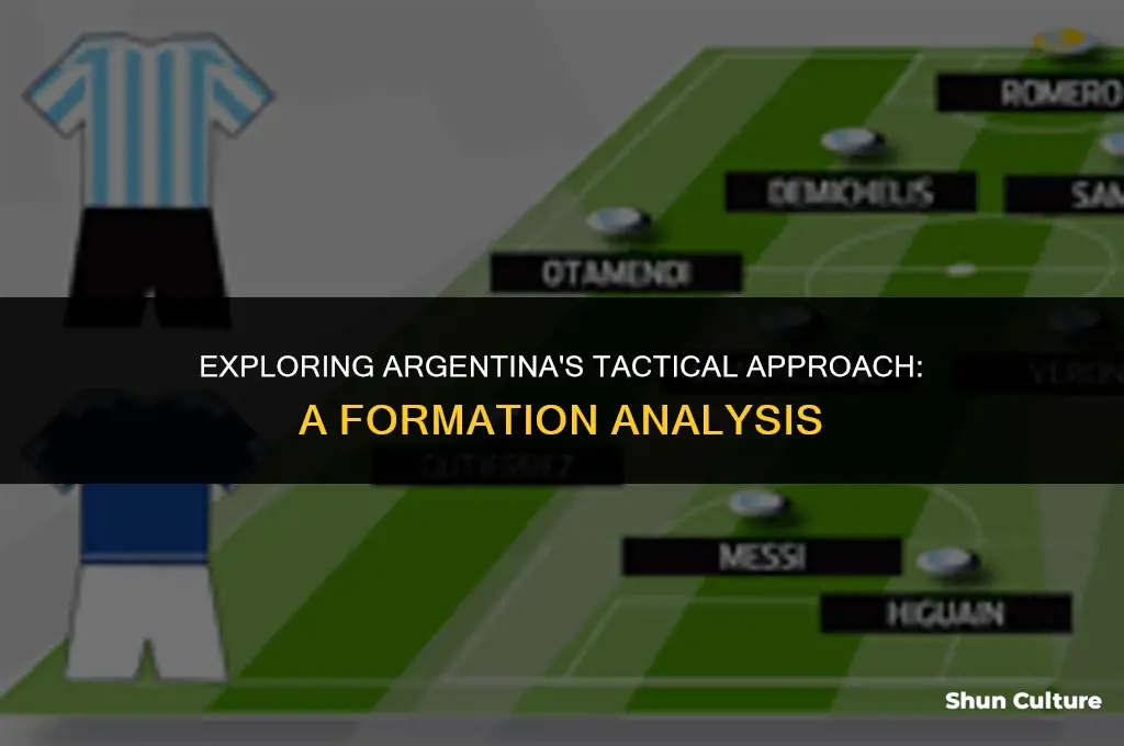 what formation does argentina play