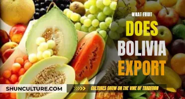 Bolivian Fruits: Exploring the Country's Top Exports