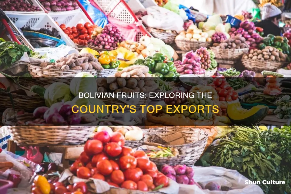 what fruit does bolivia export