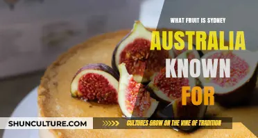 Sydney's Signature Fruit: Unveiling Australia's Iconic Citrus Delight