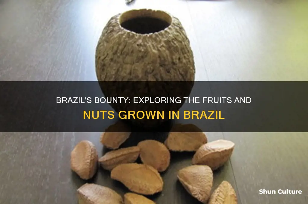 what fruits and nuts are grown in brazil