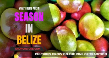 Belize's Seasonal Fruits: A Tropical Treat