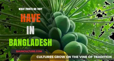 Exploring Bangladesh's Delicious and Diverse Tropical Fruit Selection