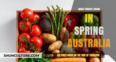 Spring Fruits in Australia: What's in Season?