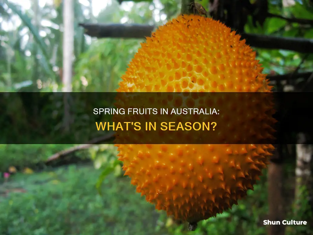 what fruits grow in spring australia