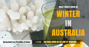 Winter Fruits in Australia: A Seasonal Harvest