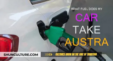 Car Fuel Options in Australia: Unleaded, Diesel, or LPG?