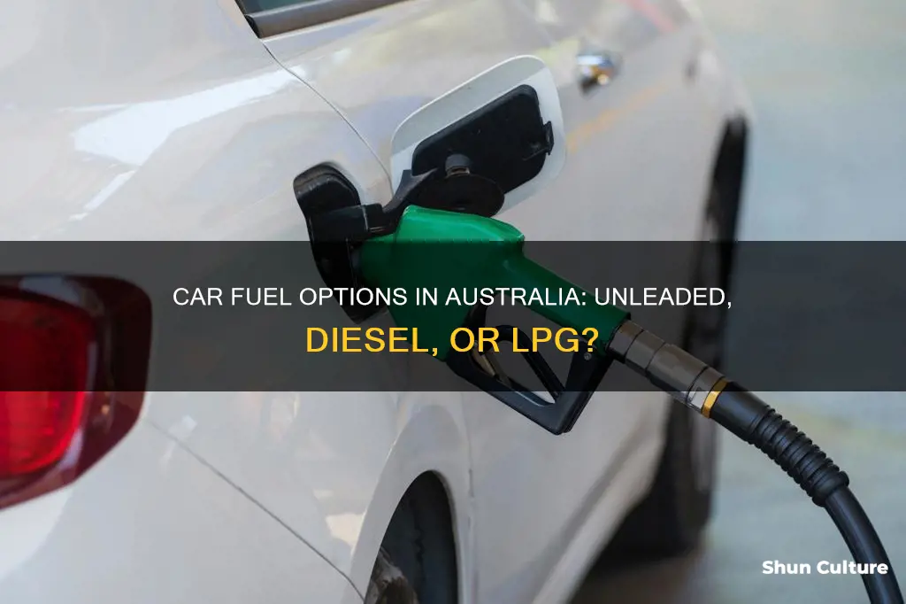what fuel does my car take australia